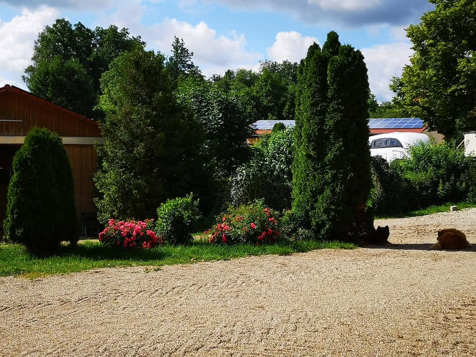 Gepflegte Außenanlage