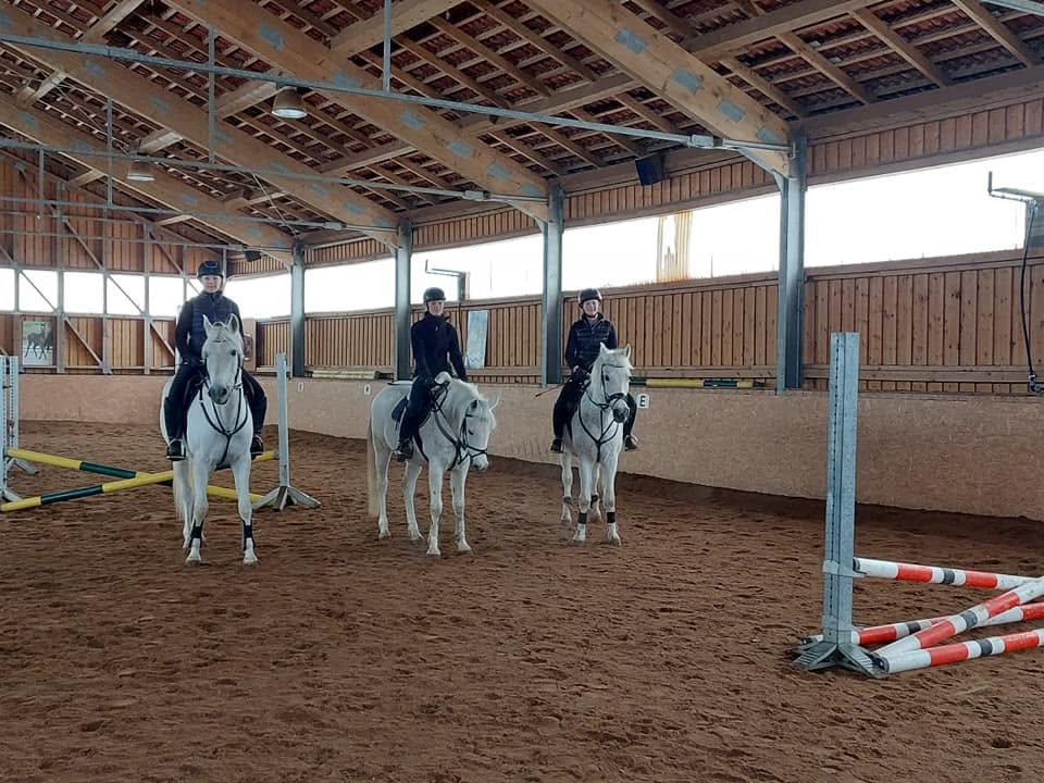 Reitunterricht in der Reithalle