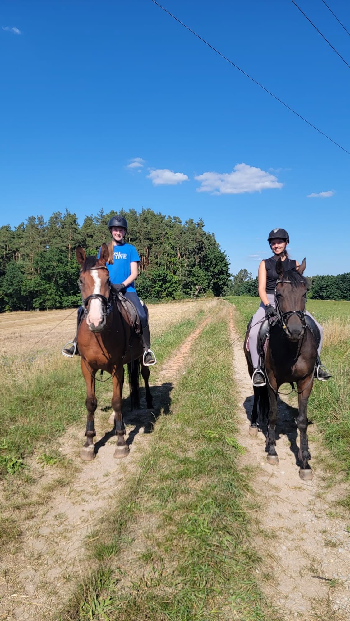 Ausreiten im Gelände